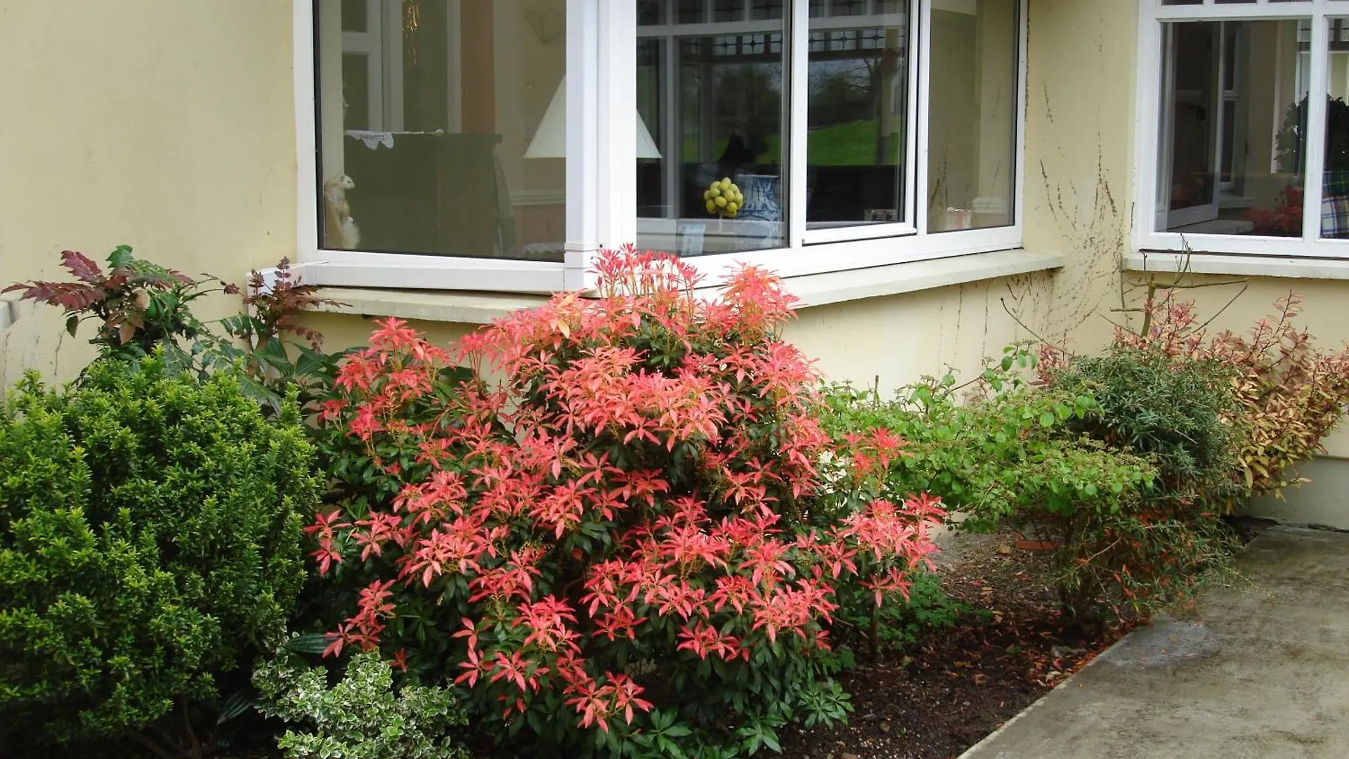 Gleann Fia Country House Cill Airne 4*,  Irlanda