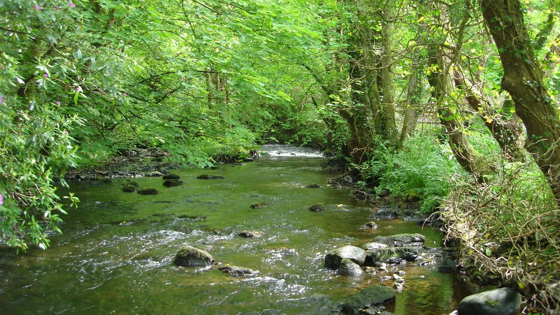 **** Guest house Gleann Fia Country House Killarney Ireland