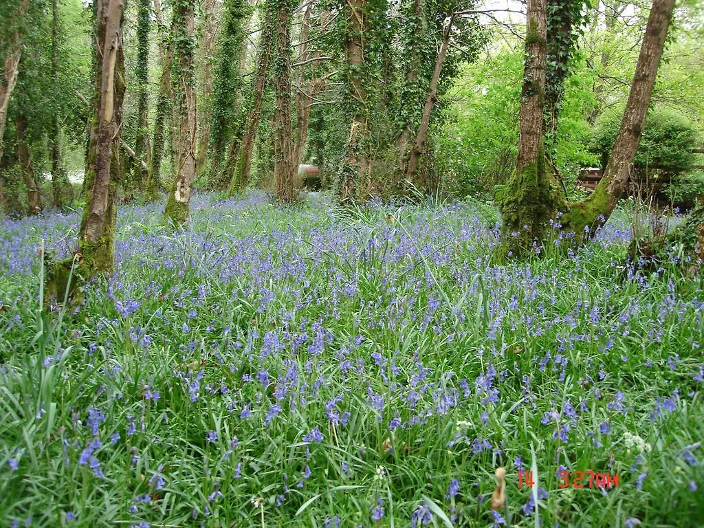 Gleann Fia Country House Lower Coolcorcoran Ireland