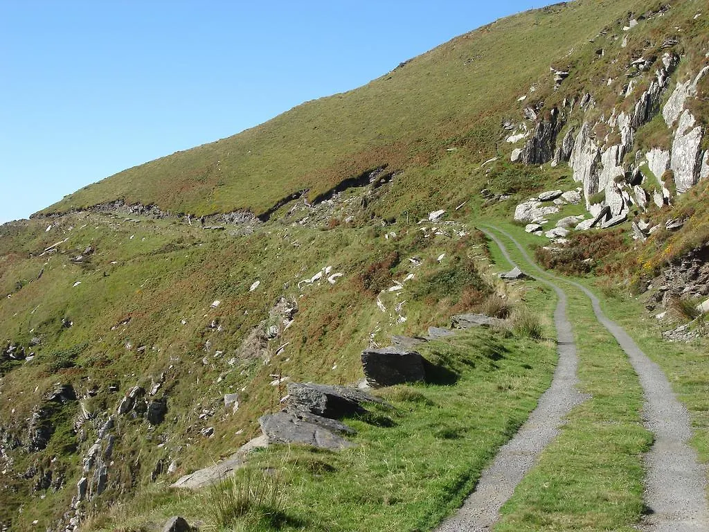 Guest house Gleann Fia Country House Killarney