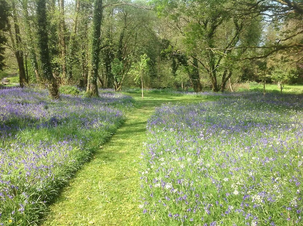 Gleann Fia Country House Killarney Guest house